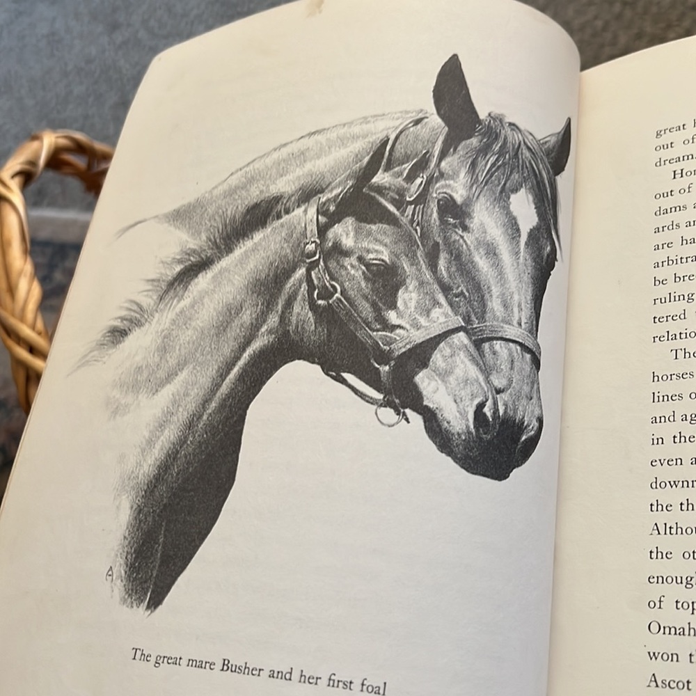 Book - Picture 5 of 6